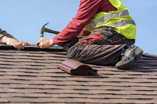 Best Roof Gutter Cleaning  in Lander, WY