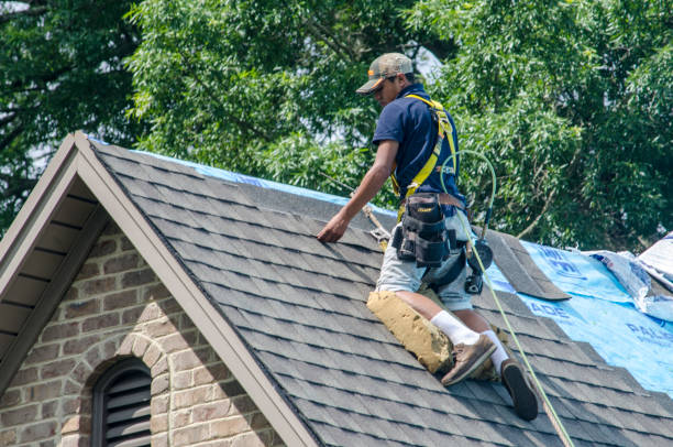 Best Roof Maintenance Services  in Lander, WY